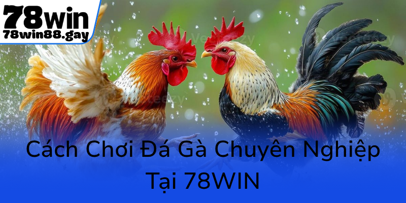 Cach Choi Da Ga Chuyen Nghiep Tai 78Win0